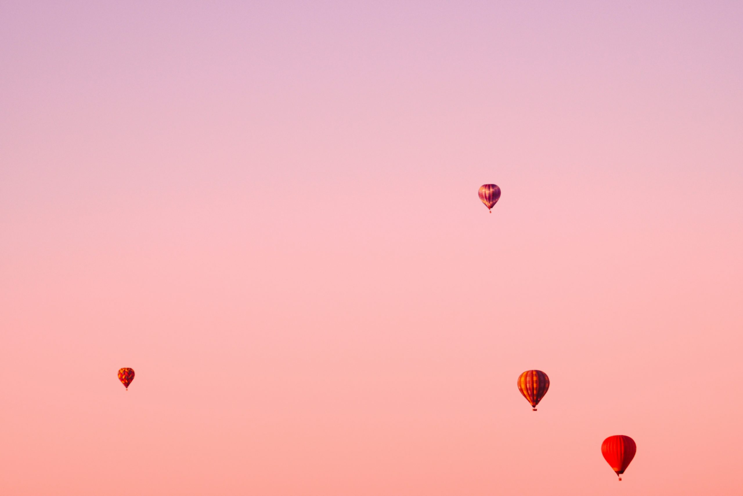 sarah-sheedy-IMIEp3o7KEQ-unsplash
